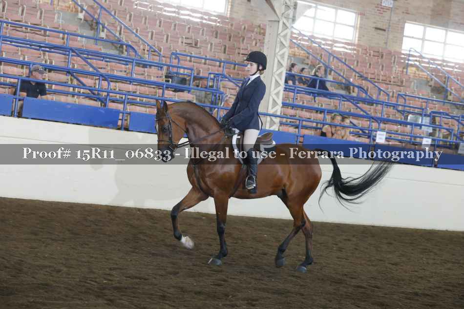 Proof 15R11_06833