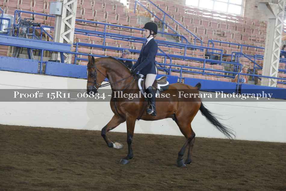 Proof 15R11_06834