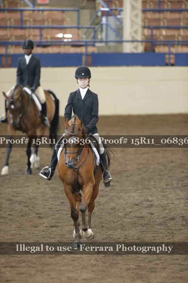 Proof 15R11_06836