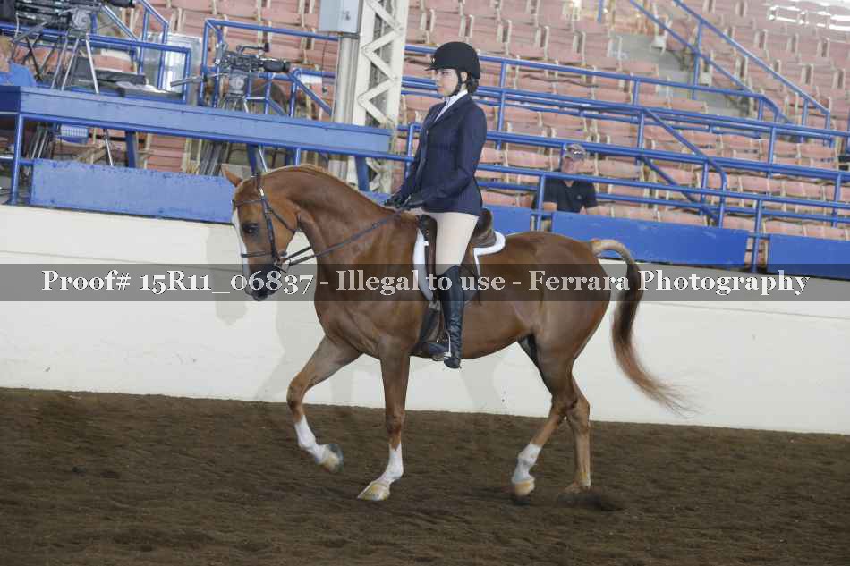 Proof 15R11_06837