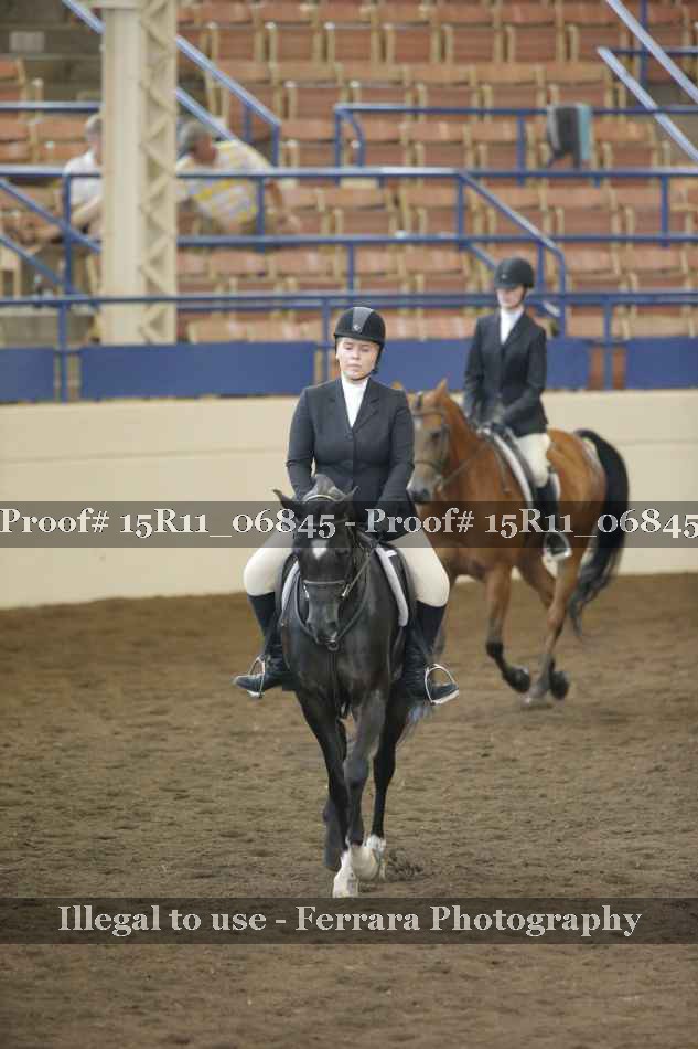 Proof 15R11_06845