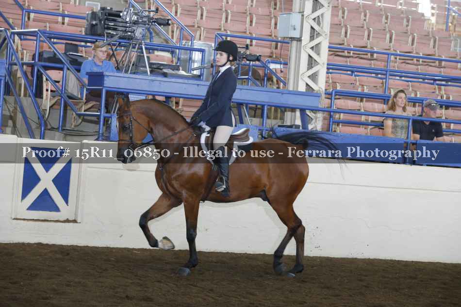 Proof 15R11_06850