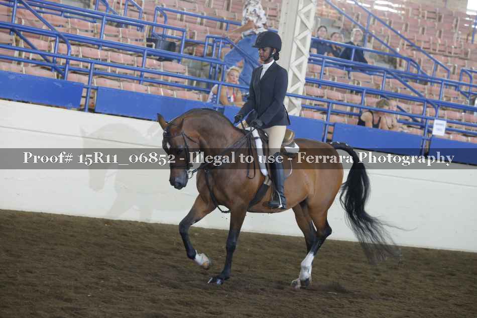 Proof 15R11_06852