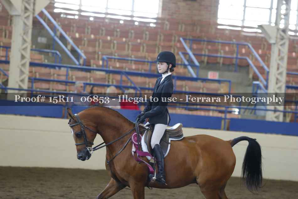 Proof 15R11_06853