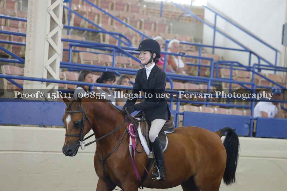 Proof 15R11_06855