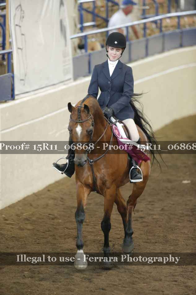 Proof 15R11_06868