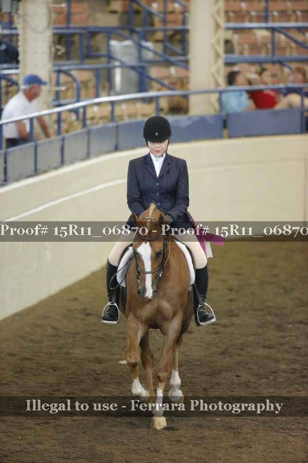 Proof 15R11_06870