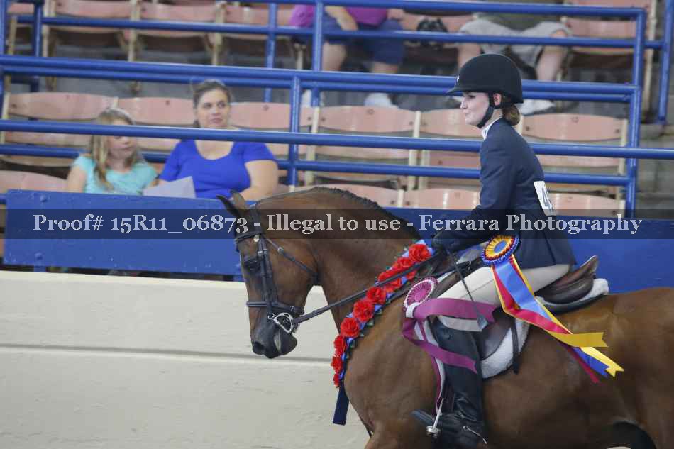 Proof 15R11_06873
