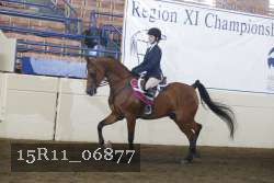 15R11_06877 proof