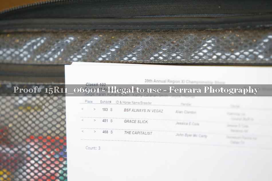 Proof 15R11_06901