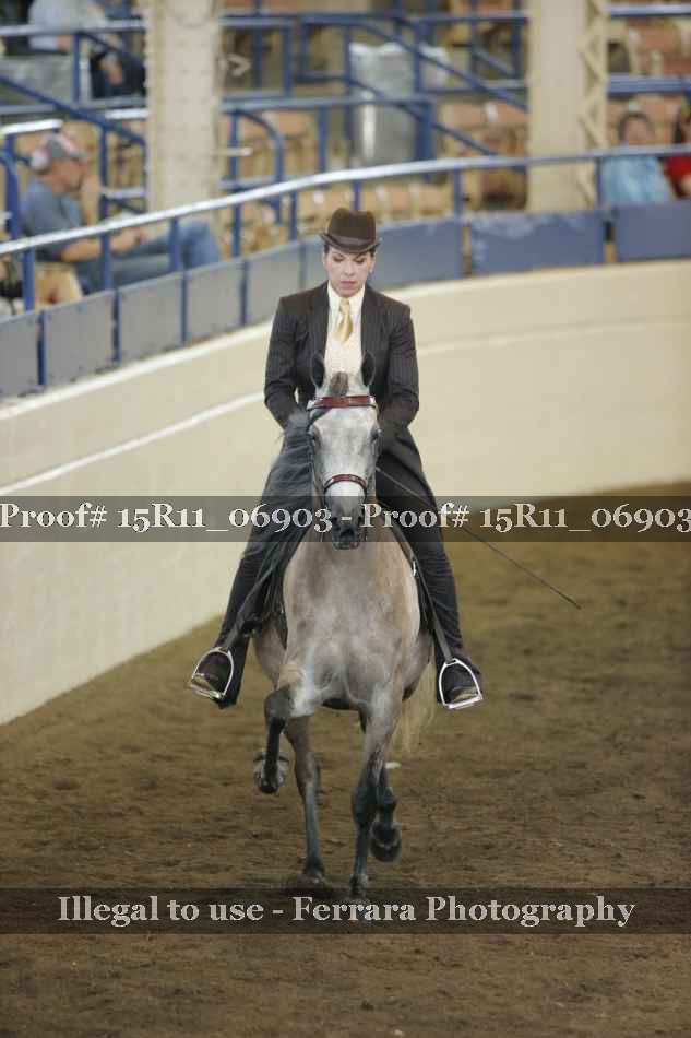 Proof 15R11_06903