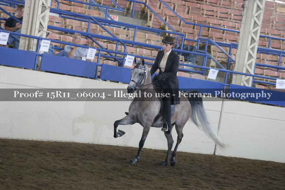 Proof 15R11_06904