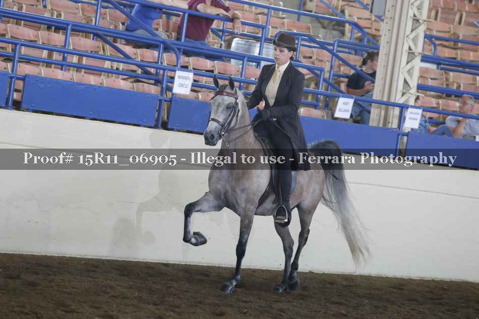 Proof 15R11_06905