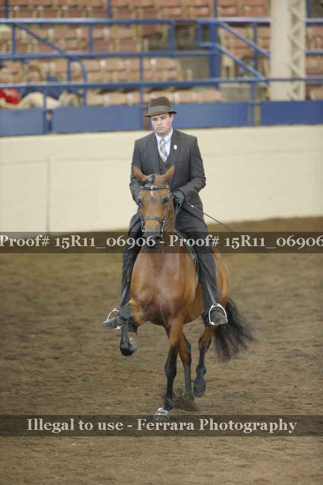 Proof 15R11_06906