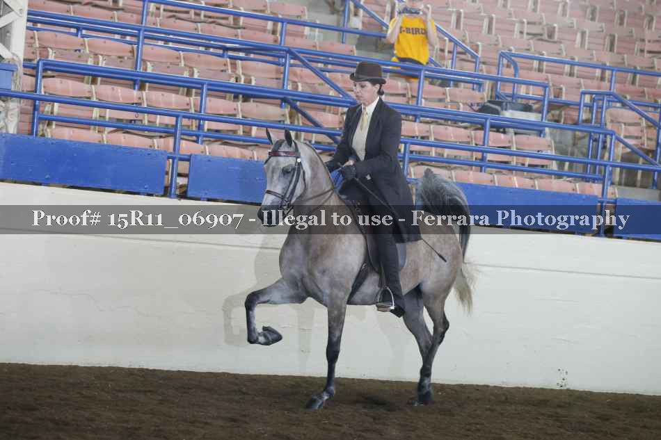 Proof 15R11_06907