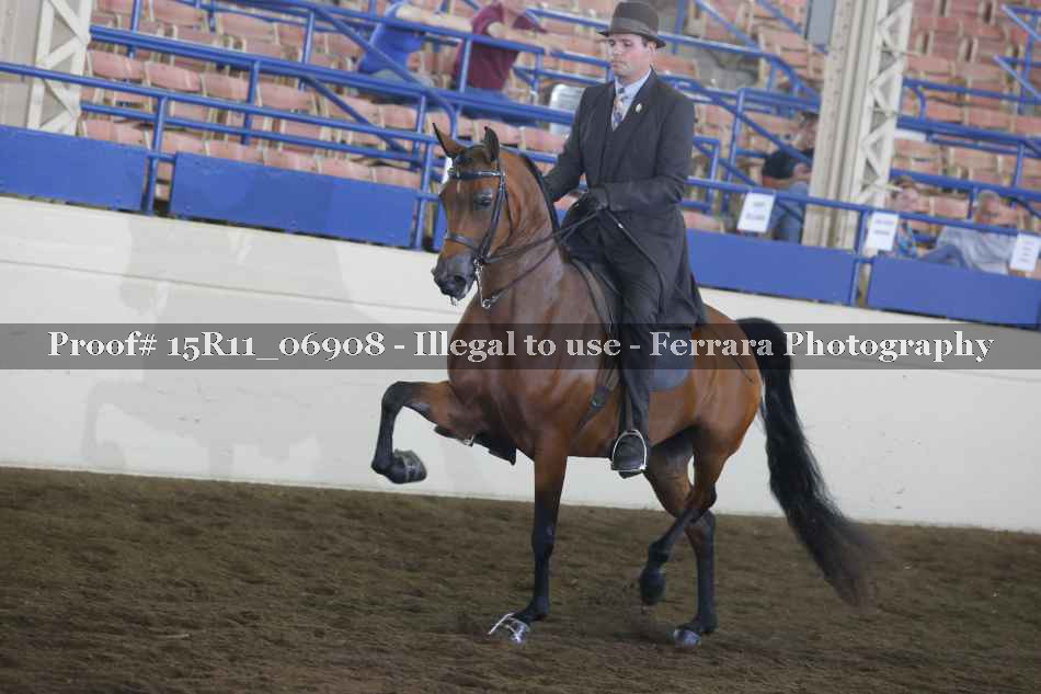 Proof 15R11_06908