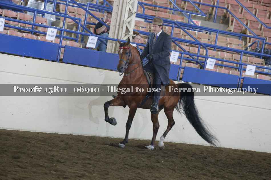 Proof 15R11_06910