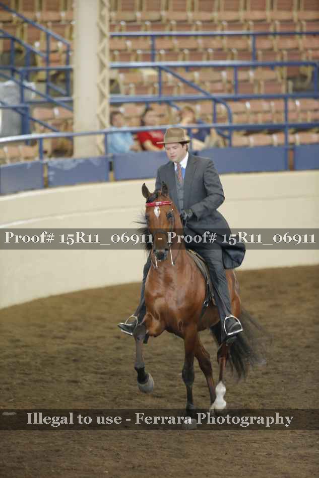 Proof 15R11_06911
