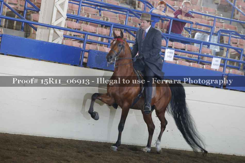 Proof 15R11_06913