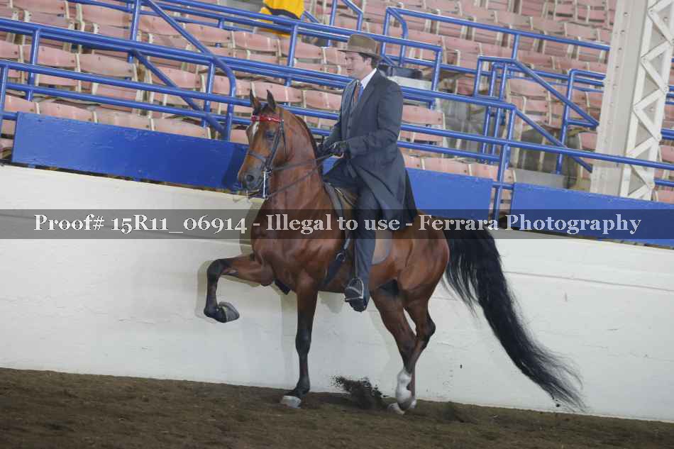 Proof 15R11_06914