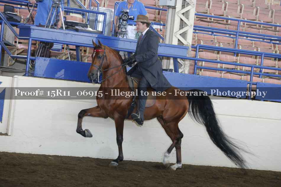 Proof 15R11_06915