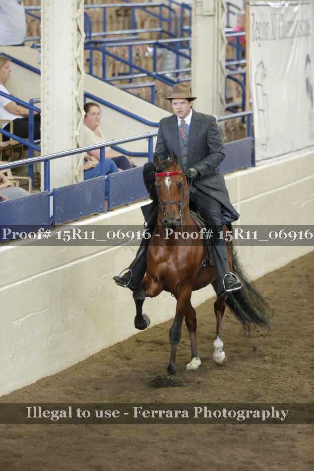 Proof 15R11_06916