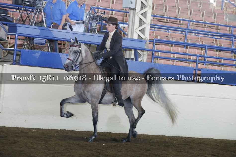 Proof 15R11_06918