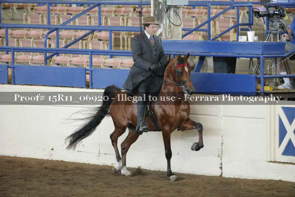 Proof 15R11_06920