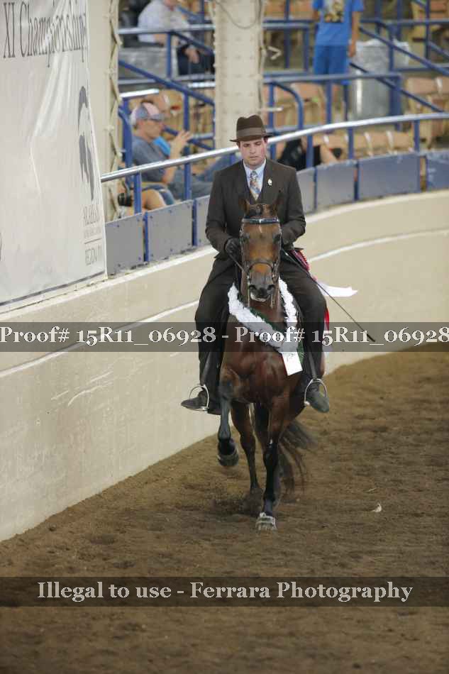 Proof 15R11_06928