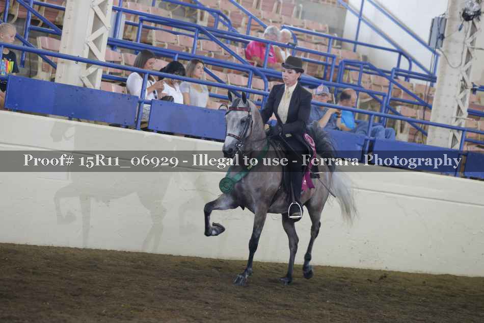 Proof 15R11_06929