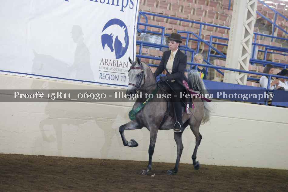 Proof 15R11_06930