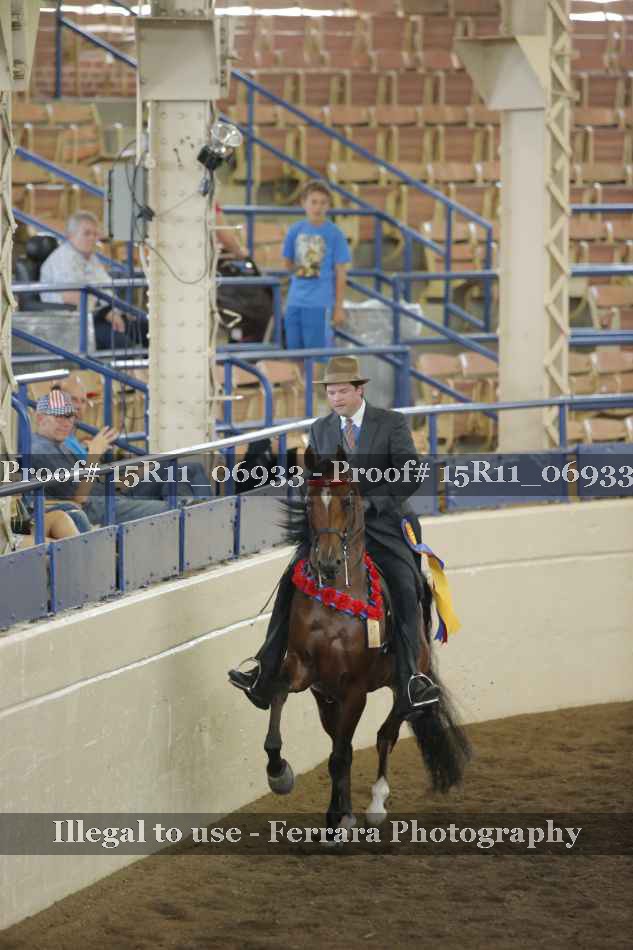 Proof 15R11_06933