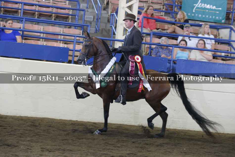 Proof 15R11_06937