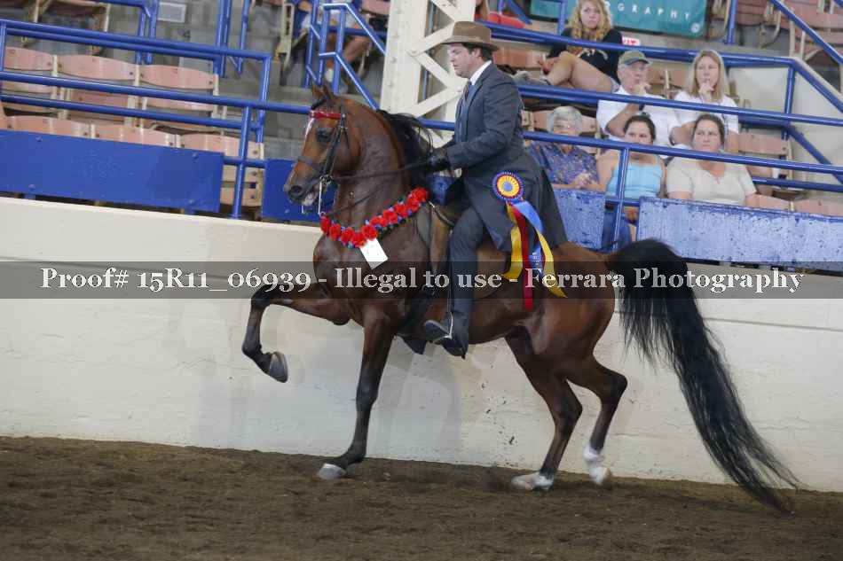 Proof 15R11_06939