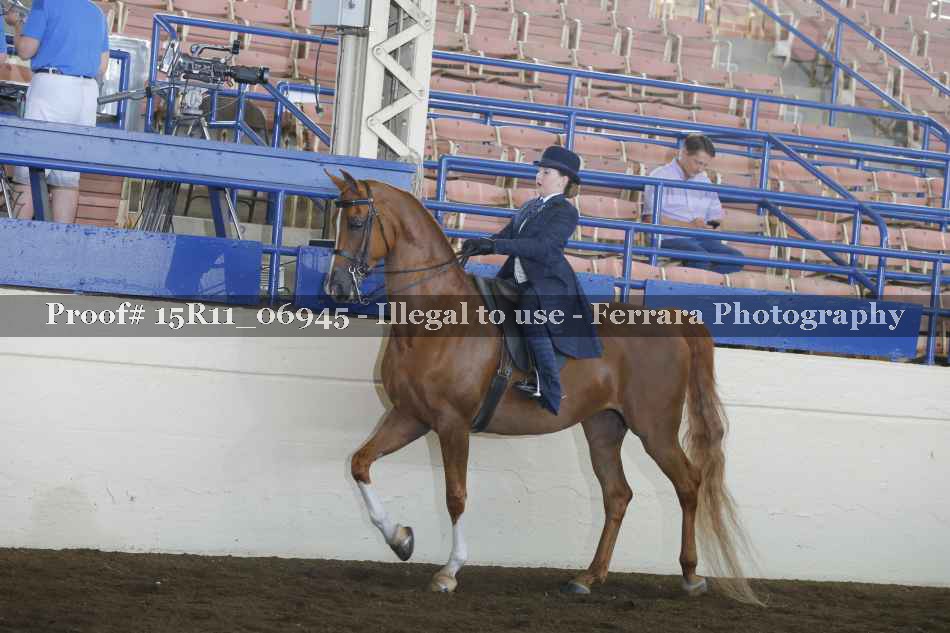 Proof 15R11_06945