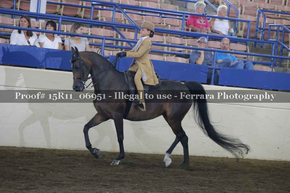 Proof 15R11_06951