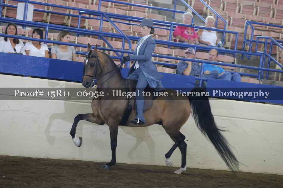 Proof 15R11_06952