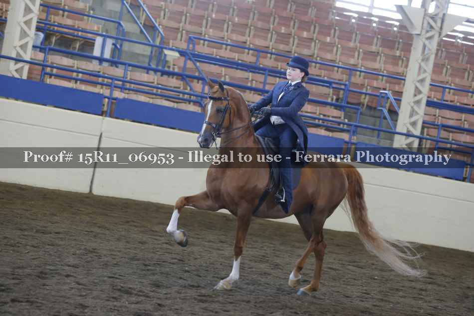 Proof 15R11_06953