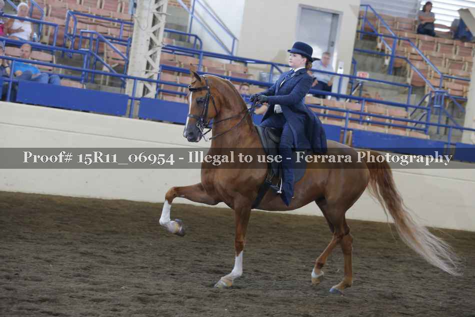 Proof 15R11_06954
