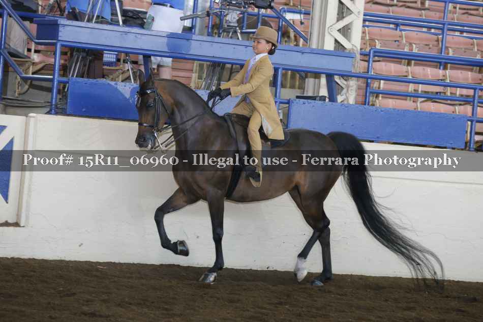 Proof 15R11_06960