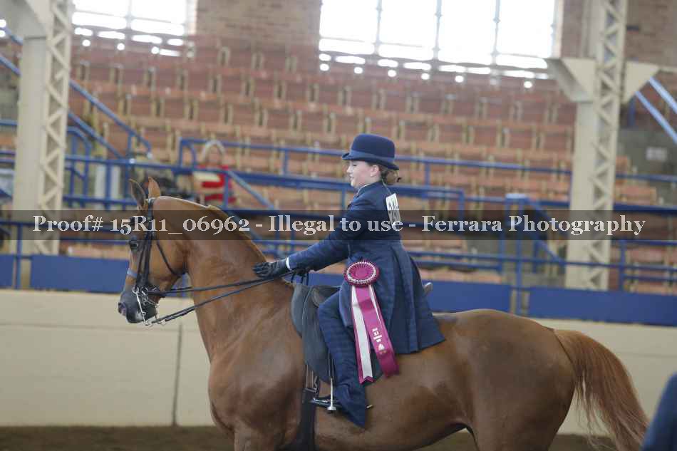 Proof 15R11_06962