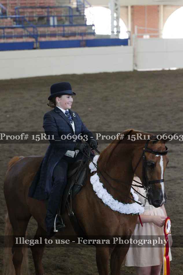 Proof 15R11_06963
