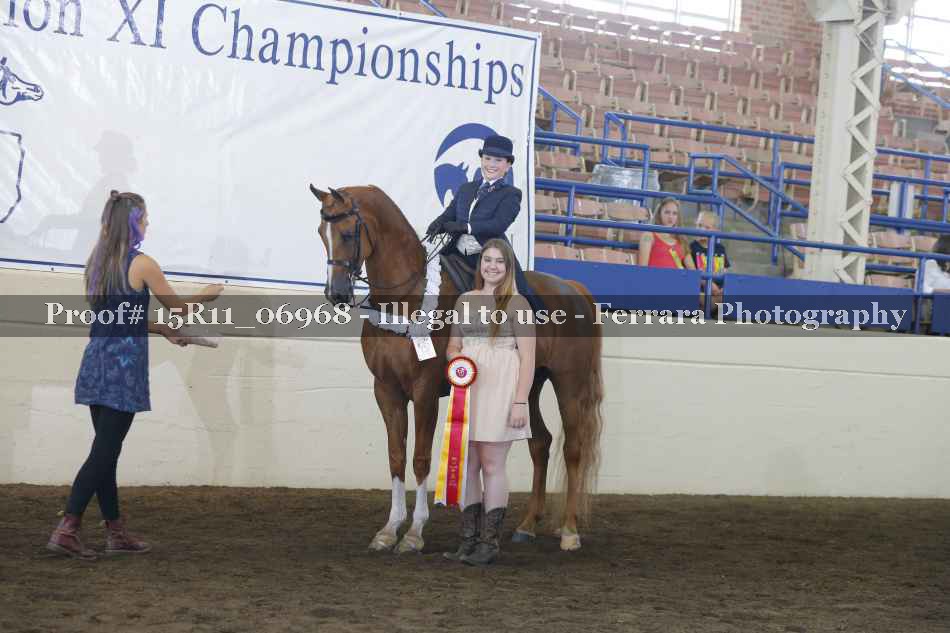 Proof 15R11_06968
