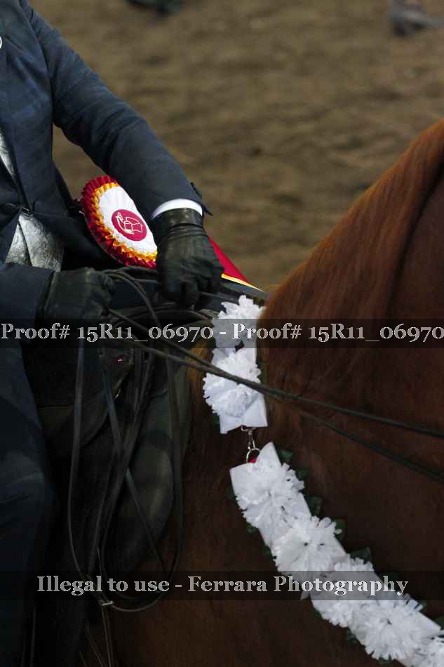 Proof 15R11_06970