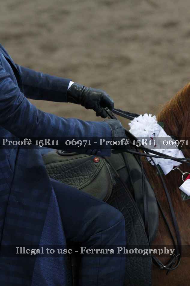Proof 15R11_06971