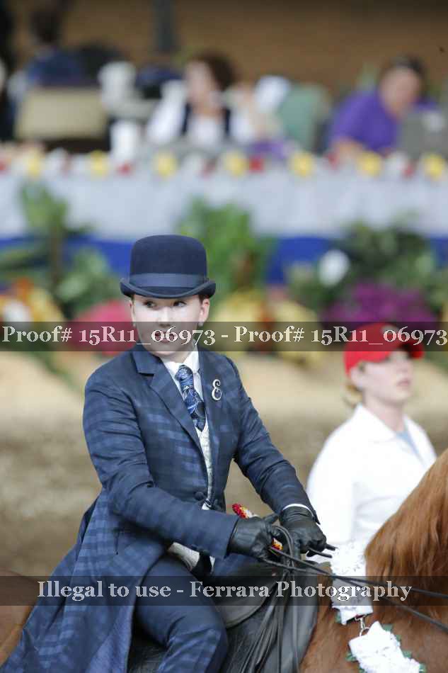 Proof 15R11_06973