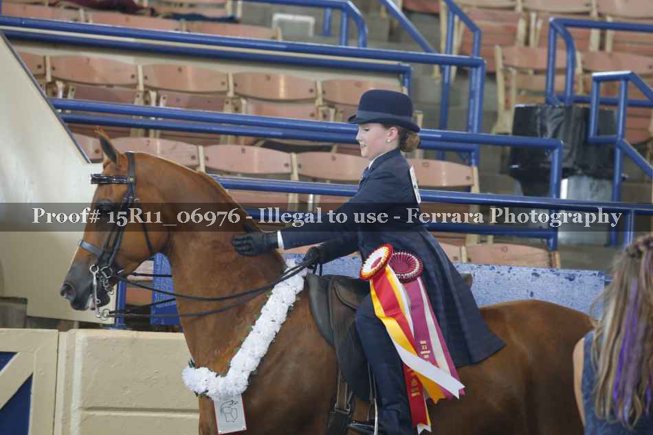 Proof 15R11_06976