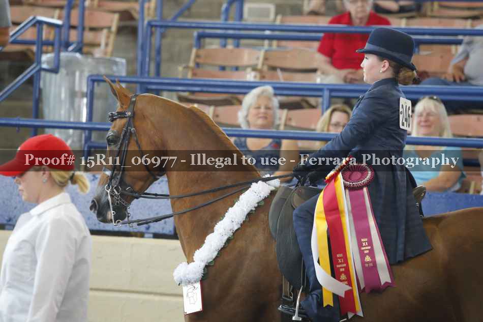 Proof 15R11_06977