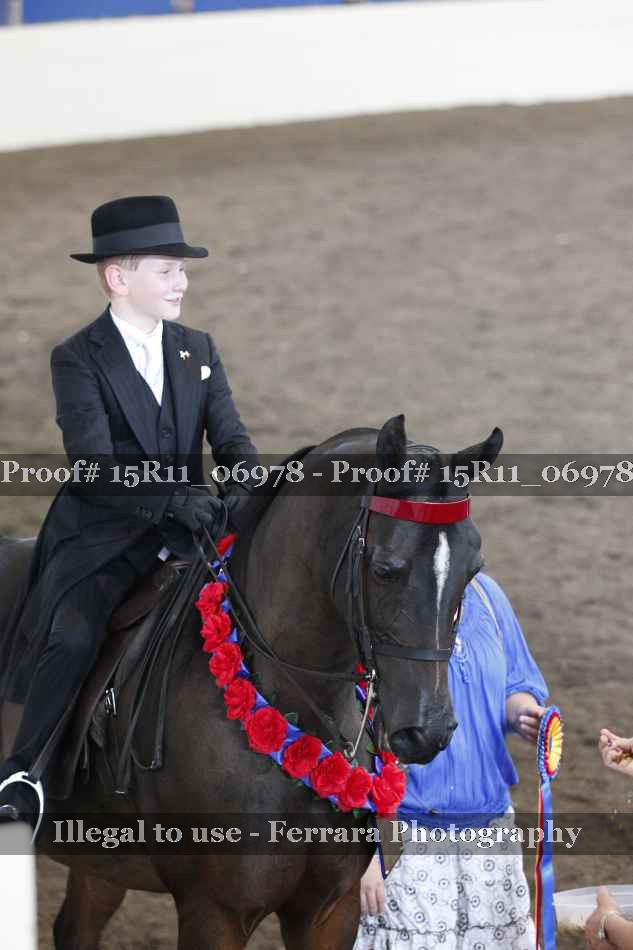 Proof 15R11_06978