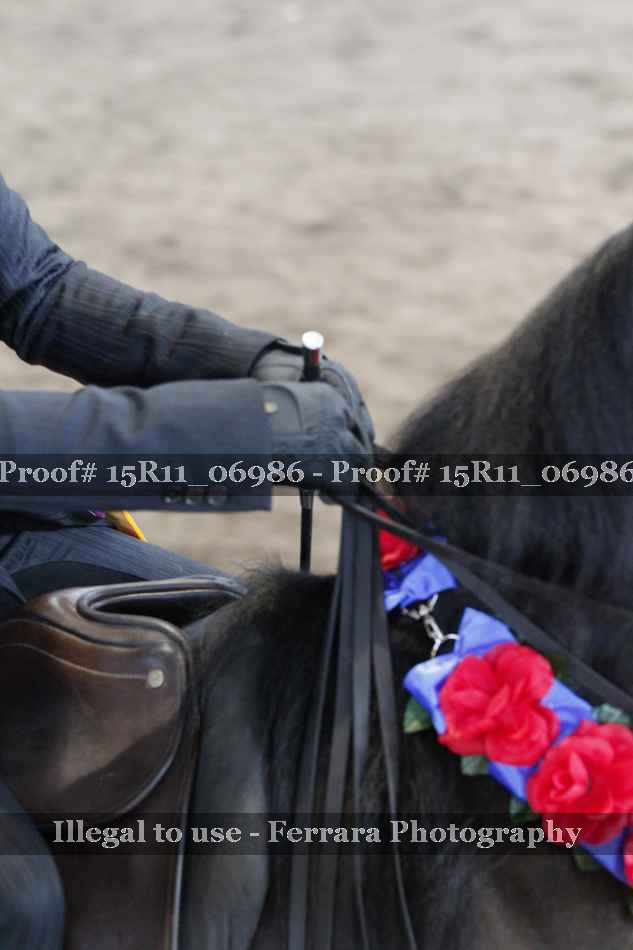 Proof 15R11_06986